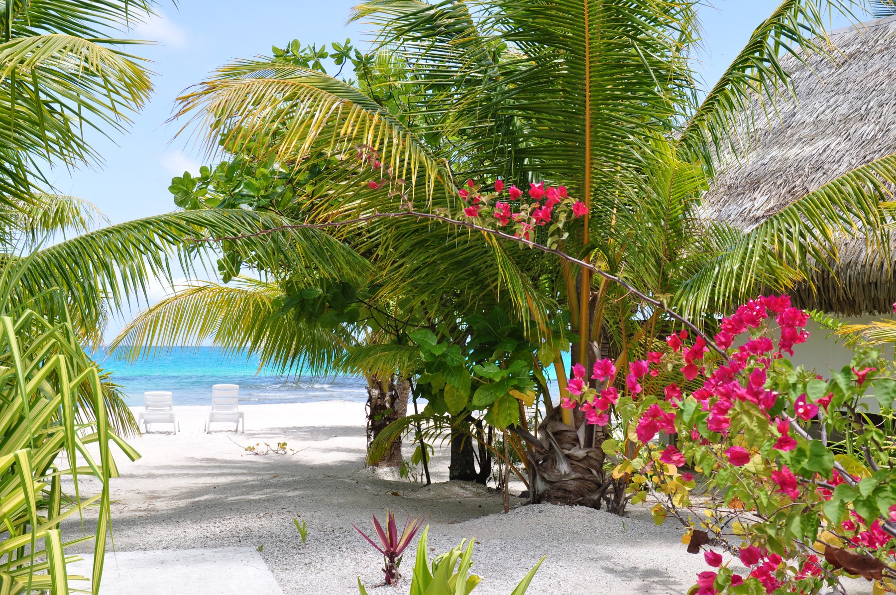 Pension Tikehau Paradise